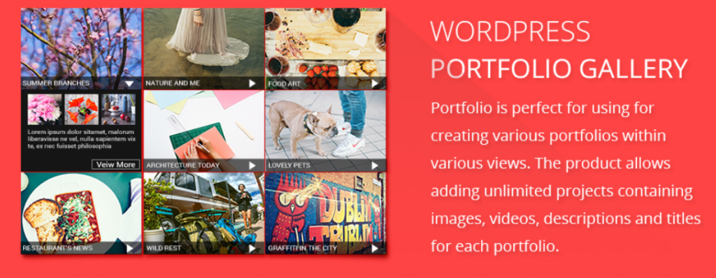 Portfolio Gallery